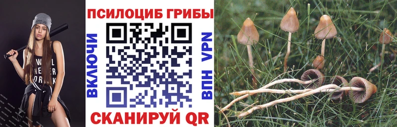 Галлюциногенные грибы MAGIC MUSHROOMS  дарнет шоп  Тарко-Сале 